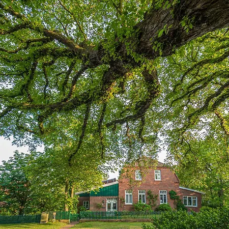 Appartementhaus Westerloog 13 *