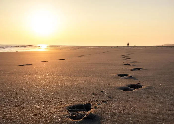 Appartementhaus Westerloog 13 Lejlighed *